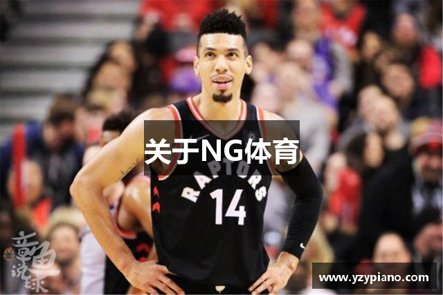 关于NG体育